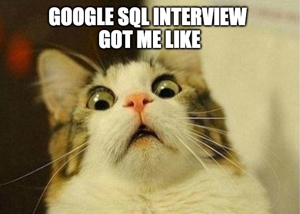 Interview Cat Meme