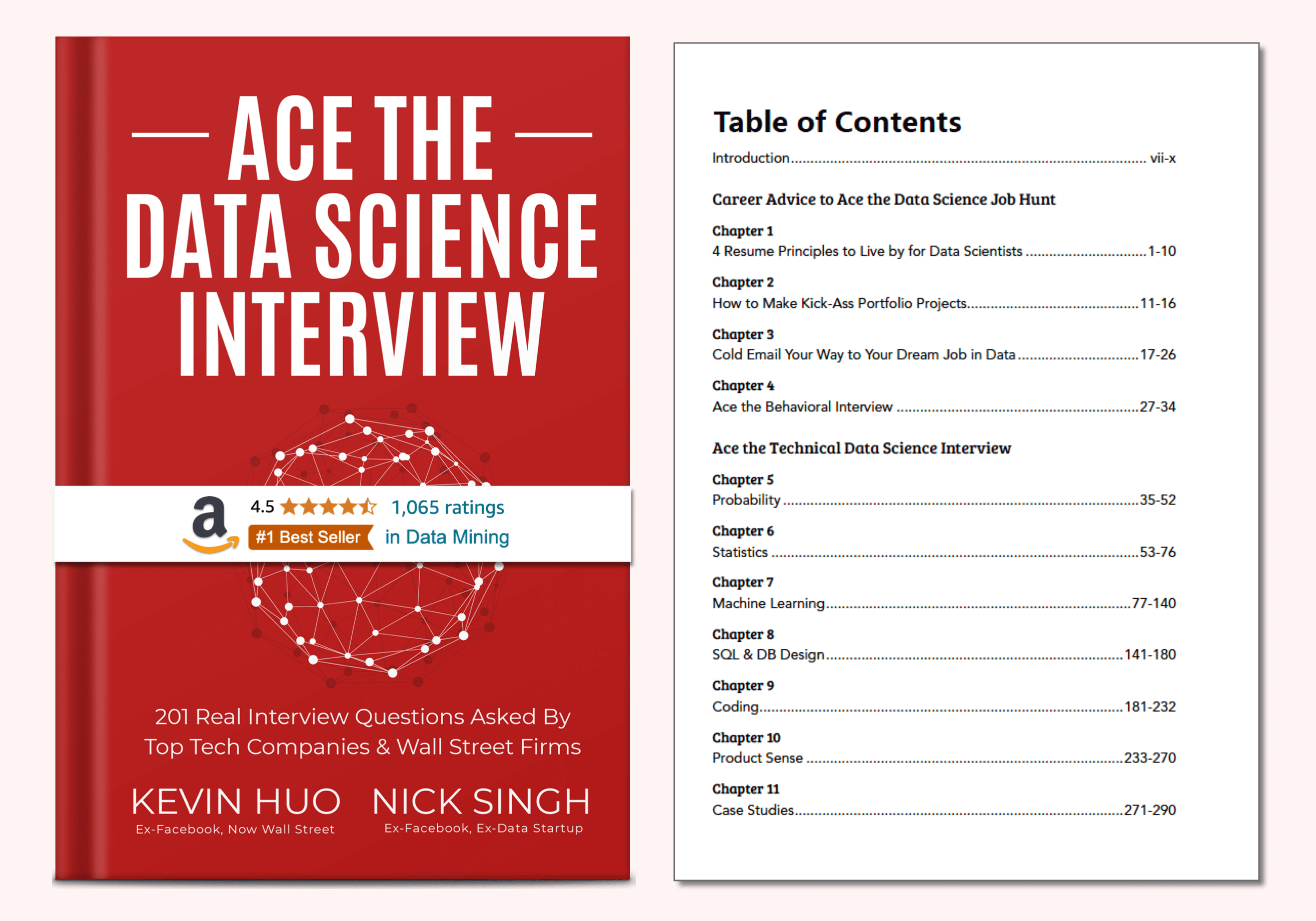 Ace the Data Science Interview by Nick Singh Kevin Huo