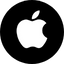 Apple icon