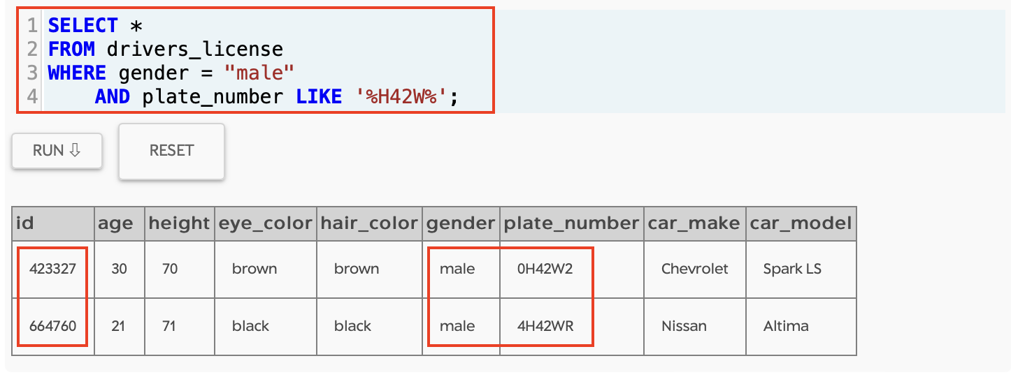 SQL Murder Mystery Car Plate Number