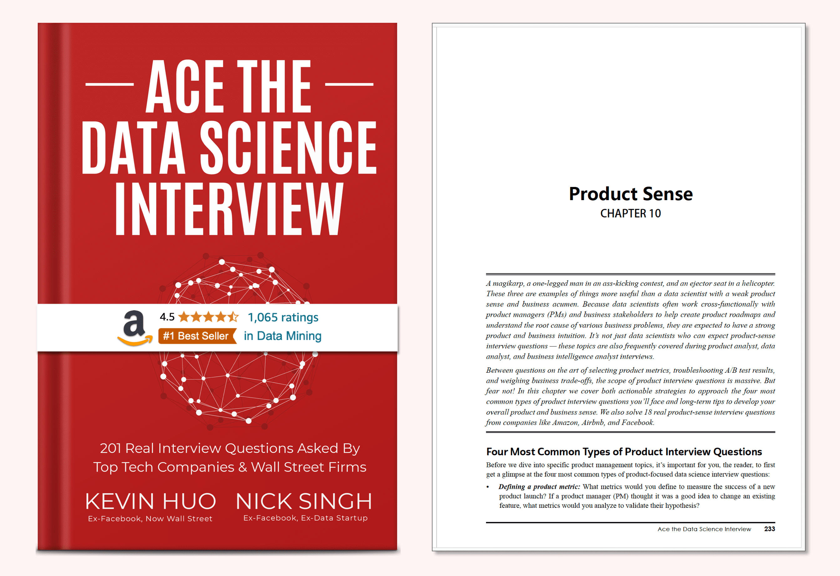 Ace the Data Science Interview