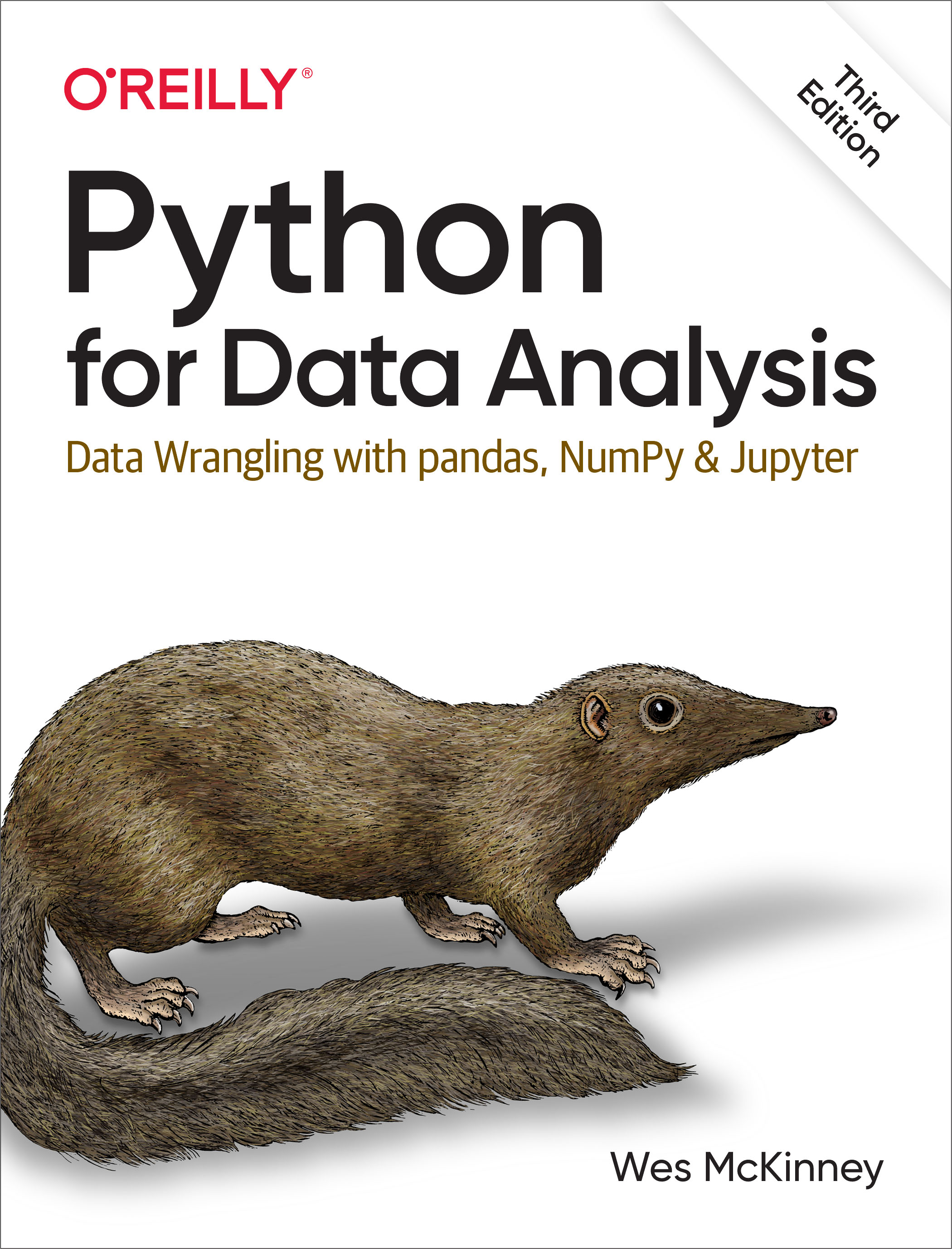 Python for Data Analysis