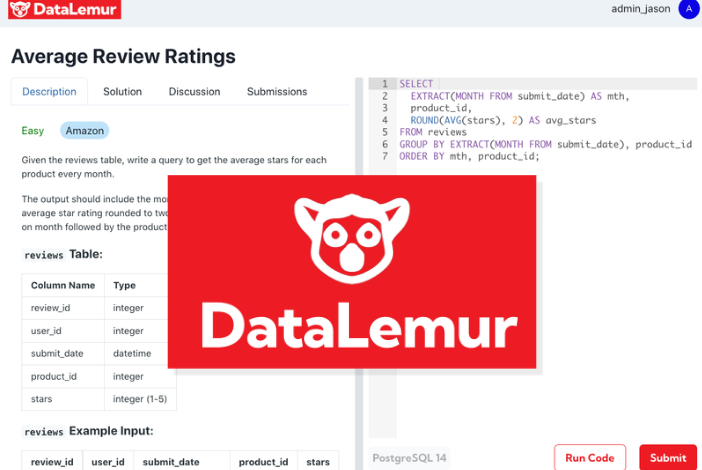 Data Lemur
